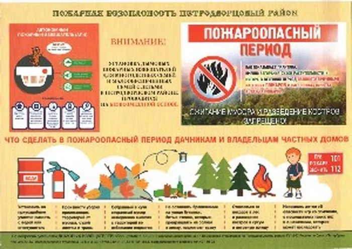 p75_pojar2021-2